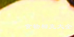 马乳的营养价值