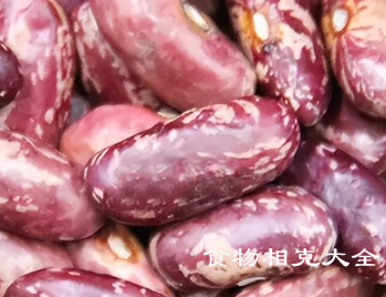 芸豆的营养价值