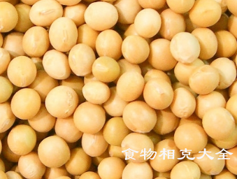 大豆的营养价值