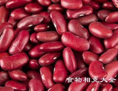 红芸豆的营养价值