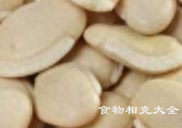 白扁豆的营养价值