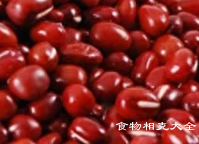 红豆的营养价值