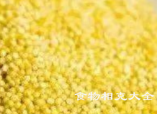 粟米的营养价值