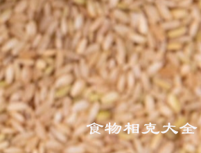 糙米的营养价值