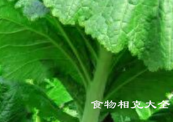 龋齿的病人能吃芥菜吗？