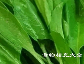 白癜风的病人能吃菠菜吗？