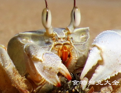 湿疹的病人能吃螃蟹吗？